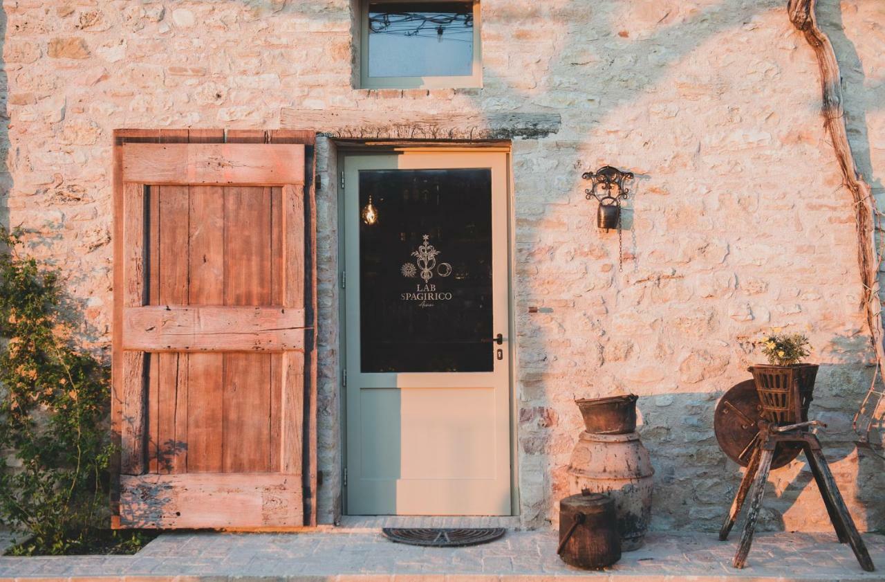 מלון Borgo Antichi Orti אסיסי מראה חיצוני תמונה